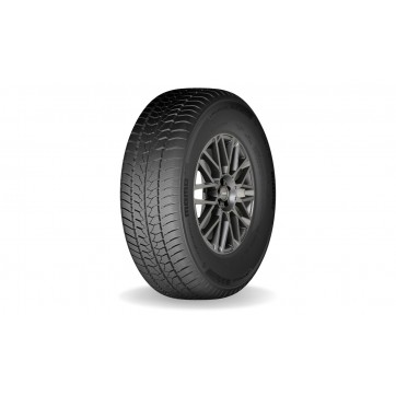 MOMO W-30 VAN POLE 225/75R16 121/120 R TL C 10PR